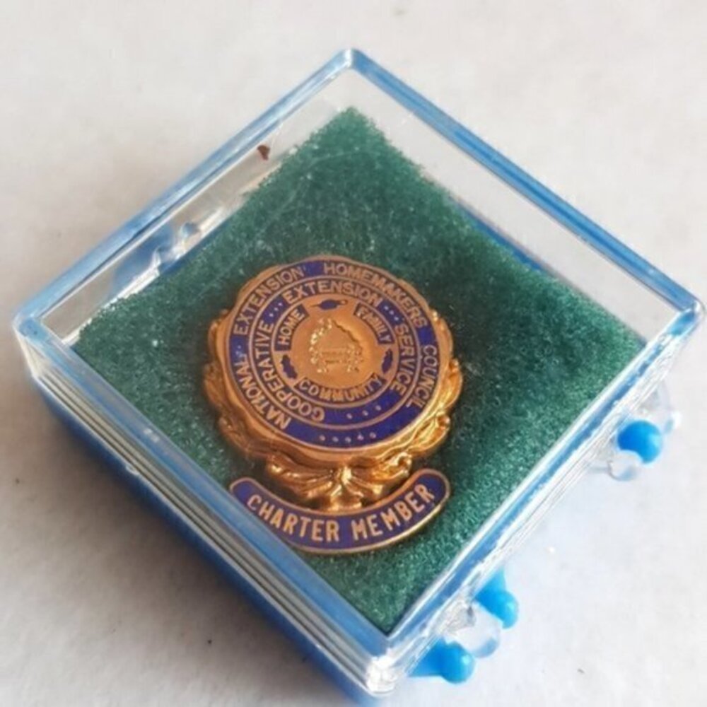 5/25$  Vintage lapel pin national extension homemakers council with case